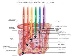 luminotherapie LED